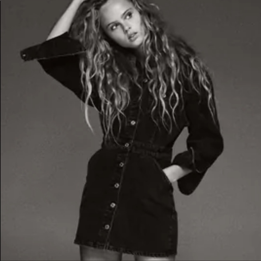 Zara Denim Dress